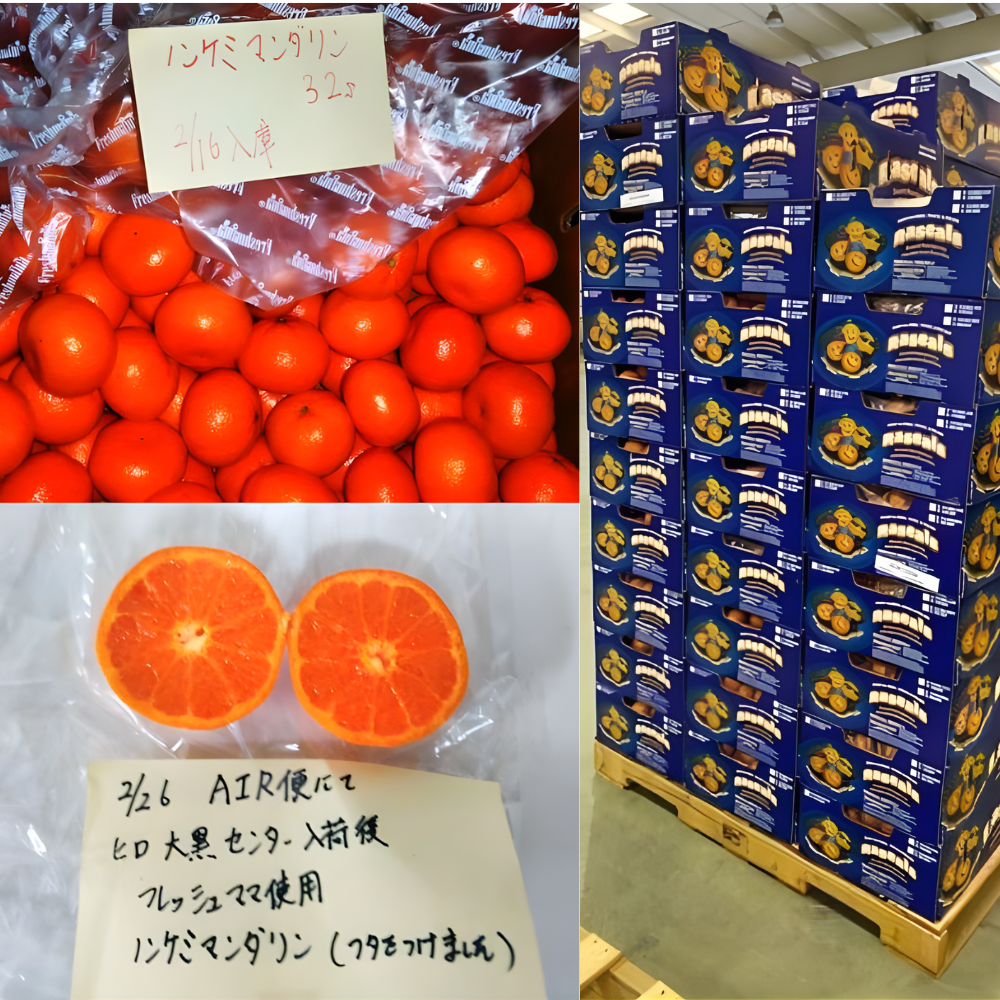 California Mandarin Test Result 1